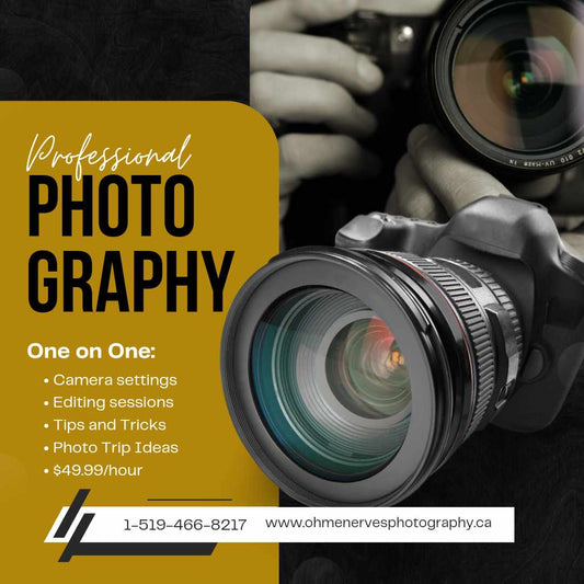 One-On-One Photography Sessions: Your Personal Journey to Capturing Moments